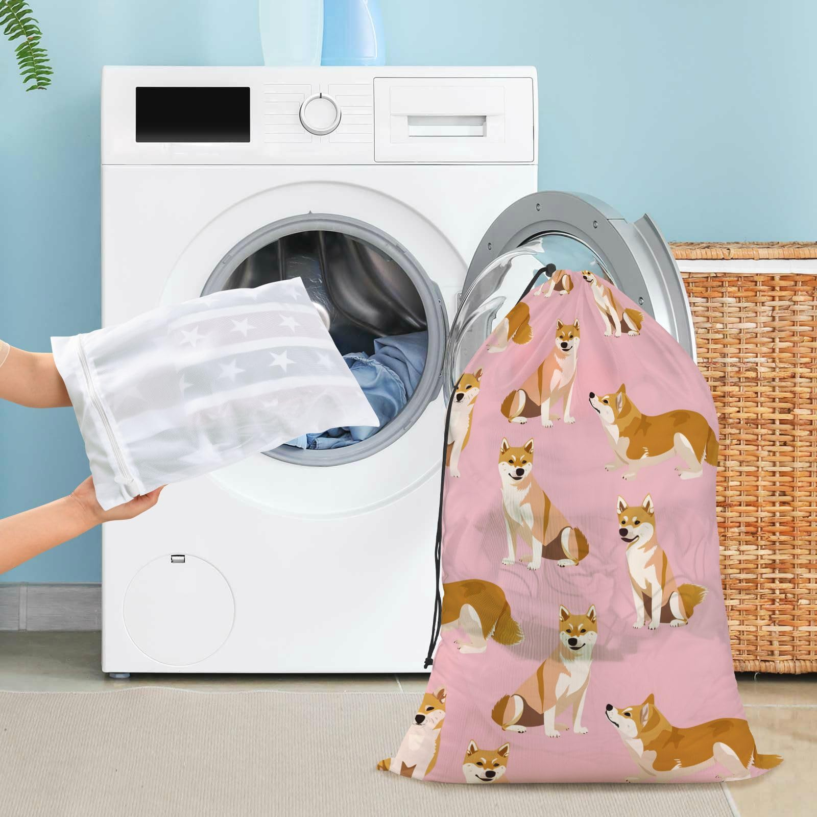 Shiba Laundry